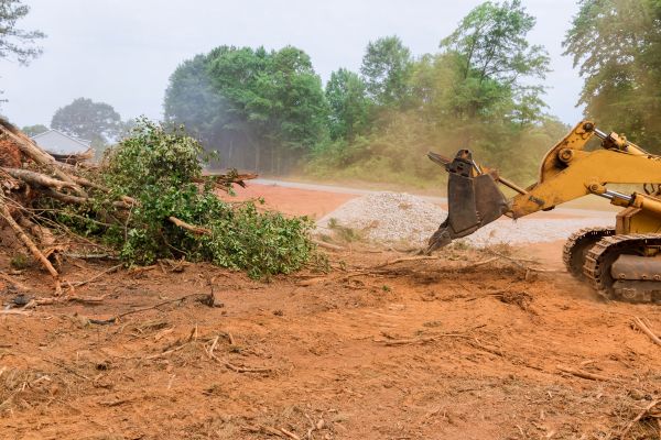 Ground Clearing in West Fargo