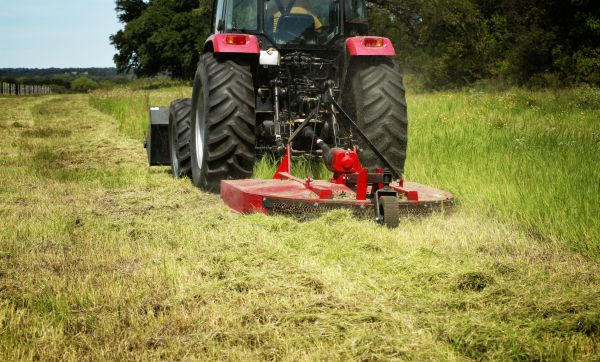 Brush Clearing Service in West Fargo