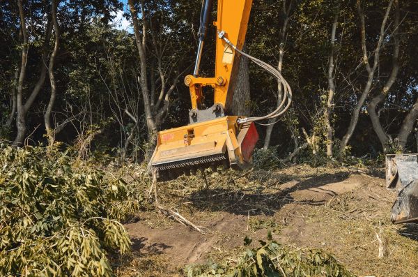 Brush Removal Service in West Fargo