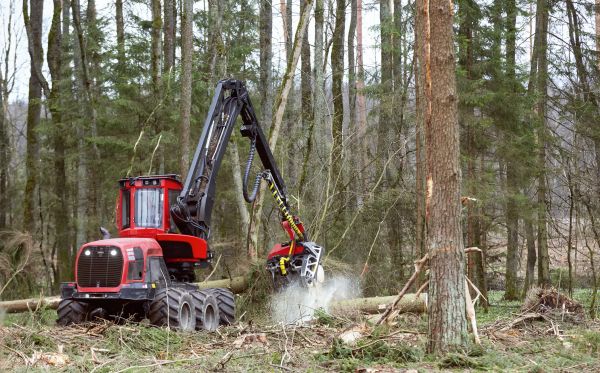 Cost of Forest Clearance Service in West Fargo