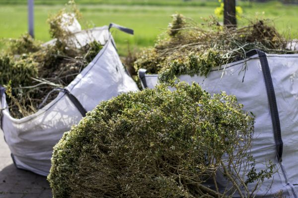 Cost of Bushes Clearing in West Fargo