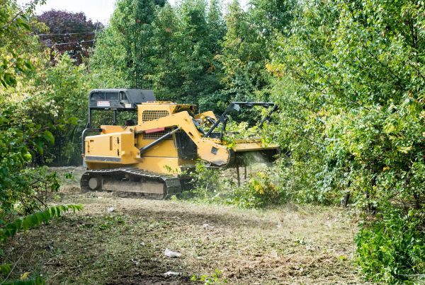 Cost of Pathway Clearing in West Fargo