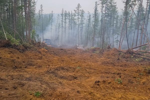 Cost of Hill Clearing in West Fargo