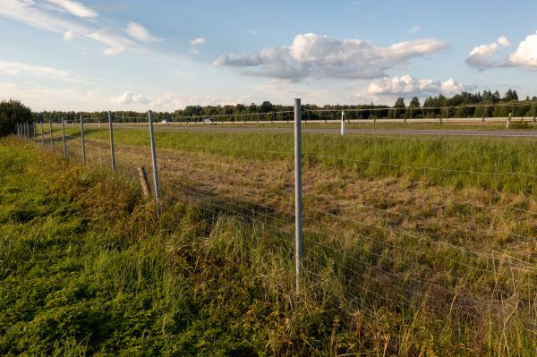 Cost of Property Line Clearing in West Fargo