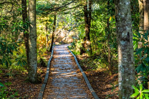 Cost of Trail Clearing in West Fargo
