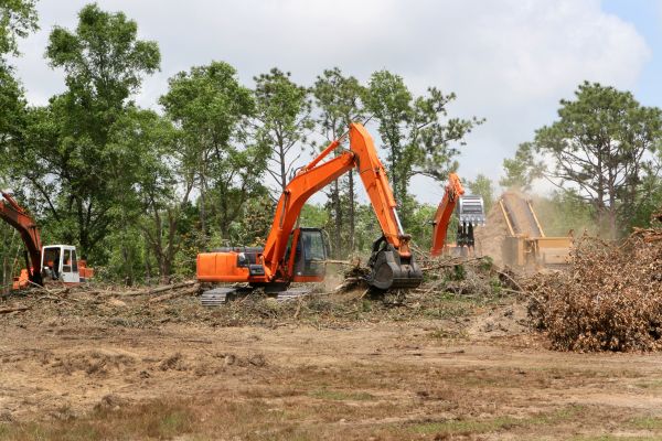 Cost of Commercial Lot Clearing in West Fargo